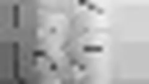 “新秀亮相展实力：灰熊埃迪高效砍下13分9板，河村登场送出关键助攻，克內克特贡献8分，謝潑德收获6分”